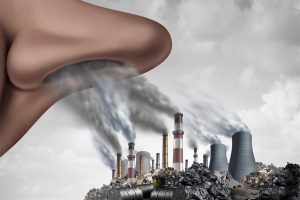 Eco design : The challenge of reducing fine particles emissions