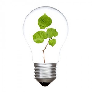 Three light bulbs with green plants inside. Isolated on white background